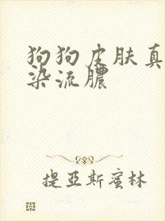 狗狗皮肤真菌感染流脓封面