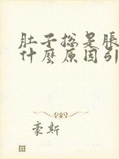 肚子总是胀气是什么原因引起的