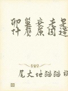 卵巢衰老是由于什么原因造成的