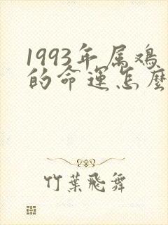 1993年属鸡的命运怎么样封面