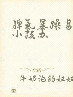 脾气暴躁易怒的小孩办封面