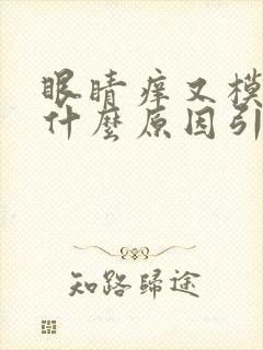 眼睛痒又模糊是什么原因引起的