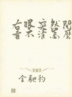右眼突然间模糊看不清怎么回事