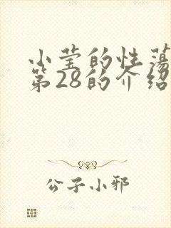 小莹的性荡生活第28的介绍封面