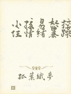 小孩易怒控制不住情绪暴躁挂什么科