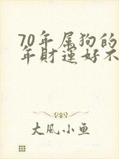 70年属狗的今年财运好不好封面