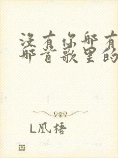 没有你哪有我是哪首歌里的歌词