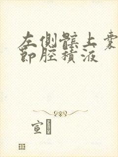 左侧髌上囊及关节腔积液封面
