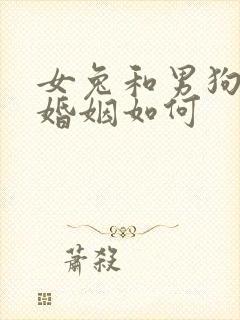 女兔和男狗相配婚姻如何封面