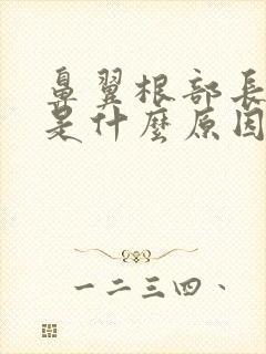 鼻翼根部长痘痘是什么原因封面