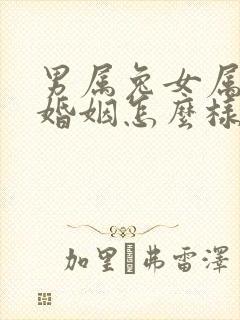 男属兔女属虎的婚姻怎么样
