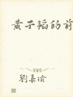 黄子韬的前女友封面