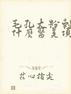 毛孔大粉刺多做什么医美项目