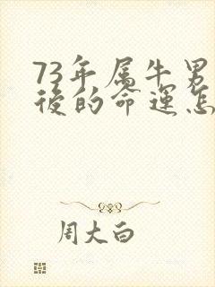 73年属牛男以后的命运怎么样