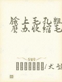 脸上毛孔粗大怎么办收缩毛孔有方法