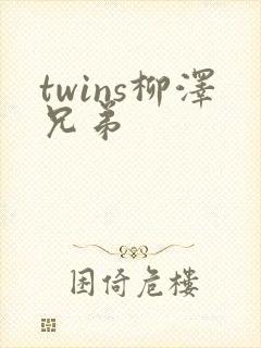 twins柳泽兄弟