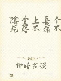 阴囊上长个个硬疙瘩不痛不痒的