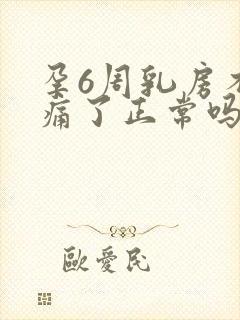 孕6周乳房不胀痛了正常吗