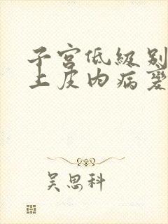 子宫低级别鳞状上皮内病变