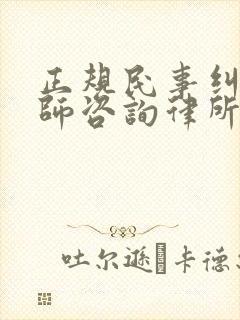 正规民事纠纷律师咨询律所