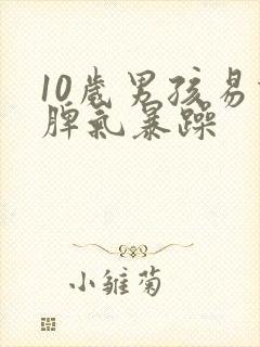 10岁男孩易怒脾气暴躁