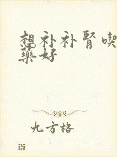 想补补肾吃什么药好