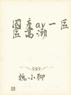 国产av一区二区高潮