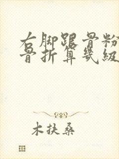 右脚跟骨粉碎性骨折算几级伤残