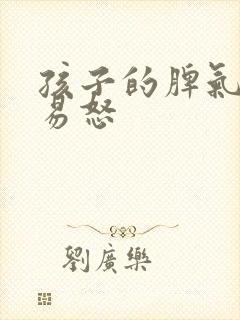孩子的脾气暴躁易怒