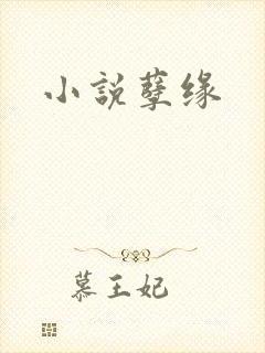小说孽缘封面