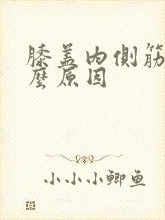 膝盖内侧筋痛什么原因