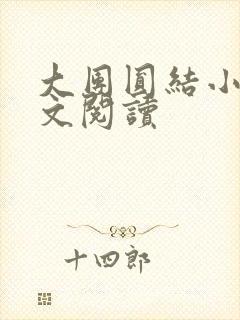 大团圆结小茹全文阅读