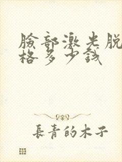 脸部激光脱毛价格多少钱封面