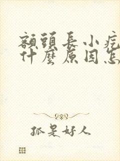 额头长小疙瘩是什么原因怎么调理