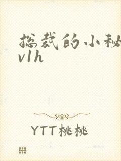 总裁的小秘书1v1h
