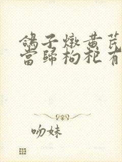 鸽子炖黄芪党参当归枸杞有什么功效