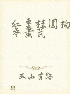 红枣桂圆枸杞党参黄芪封面