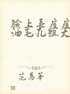 脸上长痘痘爱出油毛孔粗大怎么办