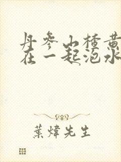 丹参山楂黄芪能在一起泡水喝吗封面