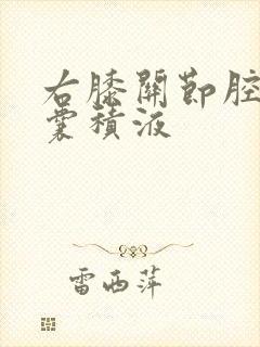 右膝关节腔髌上囊积液