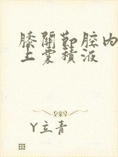 膝关节腔内及髌上囊积液