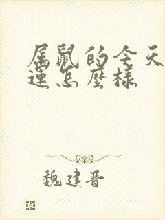 属鼠的今天的财运怎么样