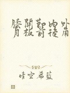 膝关节内外侧半月板前后角损伤
