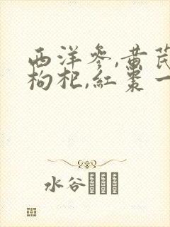 西洋参,黄芪,枸杞,红枣一起喝有什么作用封面