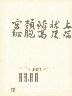 宫颈鳞状上表皮细胞高度病变封面