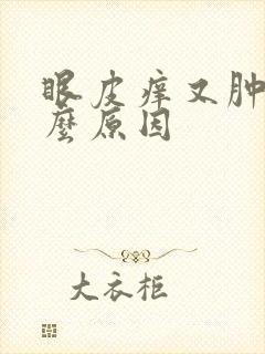 眼皮痒又肿是什么原因