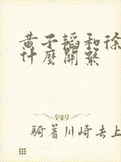 黄子韬和徐艺洋什么关系