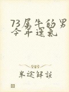 73属牛的男人今年运气封面