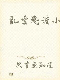 乱云飞渡小说