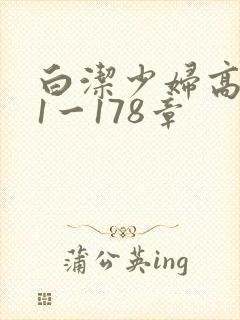 白洁少妇高义第1一178章